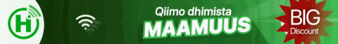 spot_img